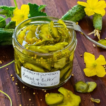 Bread n Butter Pickle